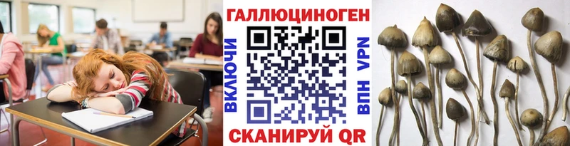 Псилоцибиновые грибы мицелий Мензелинск